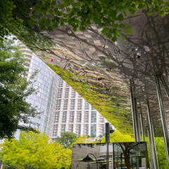Untitled Untitled